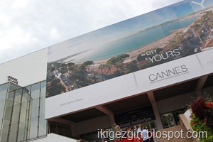 IMG_1031 IMG_1031