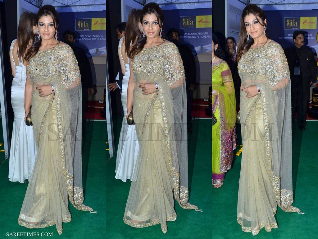 [Raveena_Tandon_Embroidery_Shimmer_Saree_IIFA_Awards%255B4%255D.jpg]