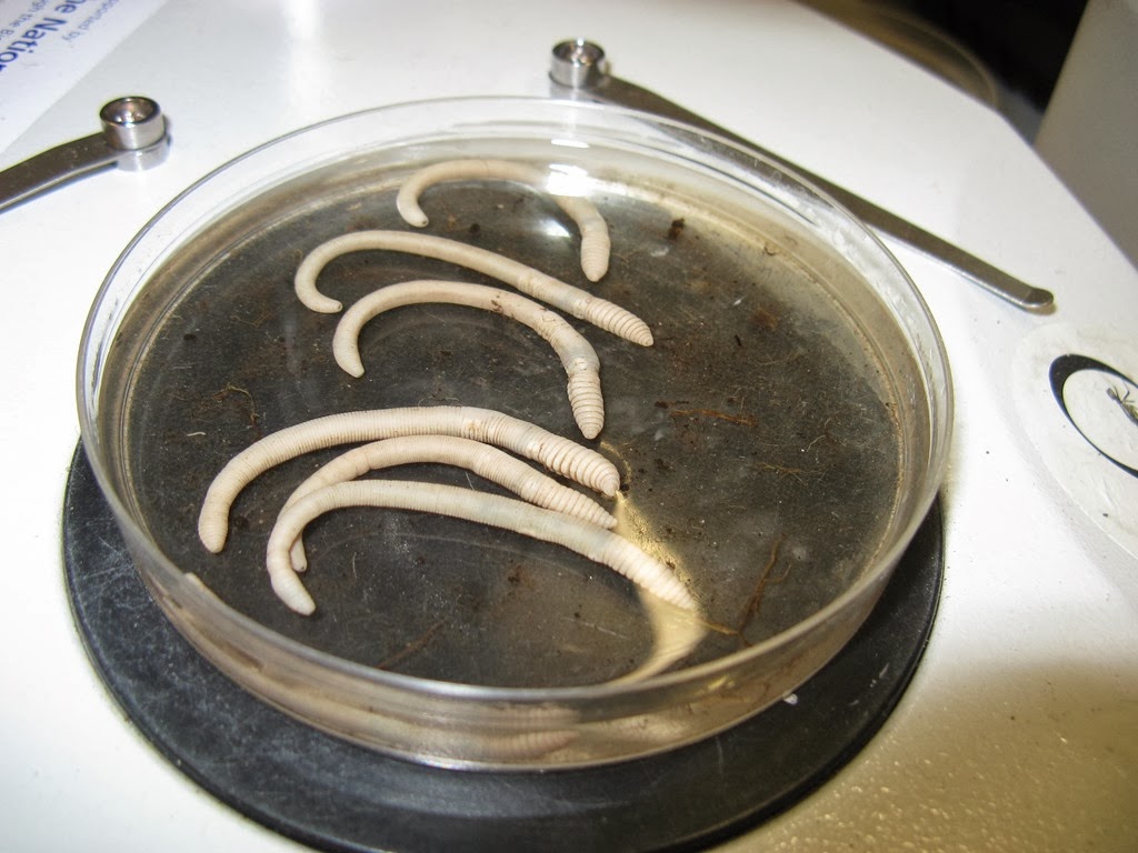 [IMG_0284%255B5%255D.jpg]