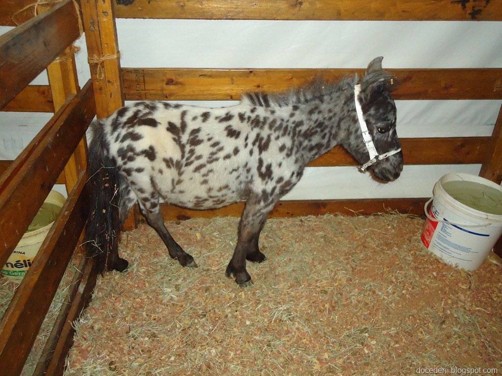 [DSC07527%255B7%255D.jpg]