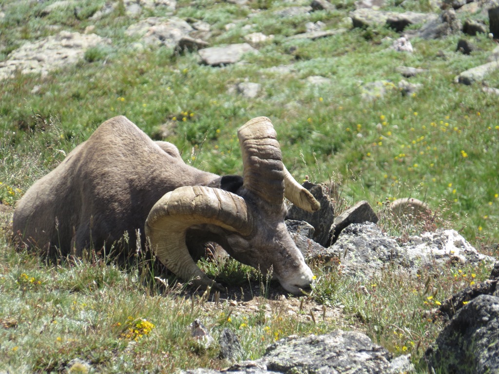 [IMG_8938%255B8%255D.jpg]