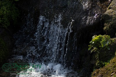 Trengwainton Gardens-7.jpg