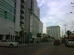 IMG00193-20090802-1218.jpg