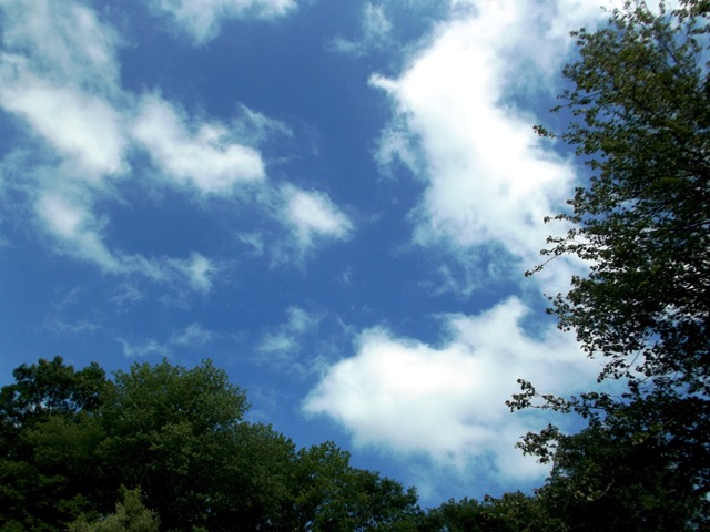[KayakingtheExeterRiver043.jpg]
