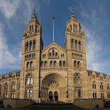 The Natural History Museum (author DAVID ILIFF).