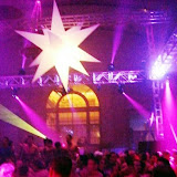 Purple 2006