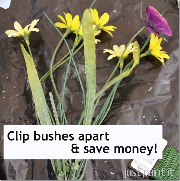 buy-bushes-cut-apart