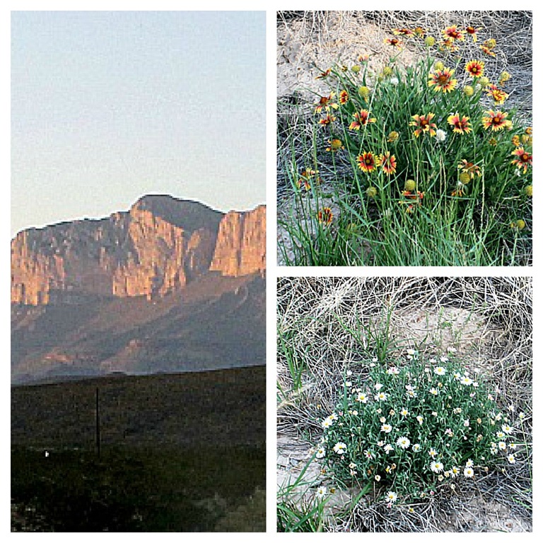 [PicMonkey%2520Collage-1%255B2%255D.jpg]