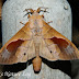 Dscn5190