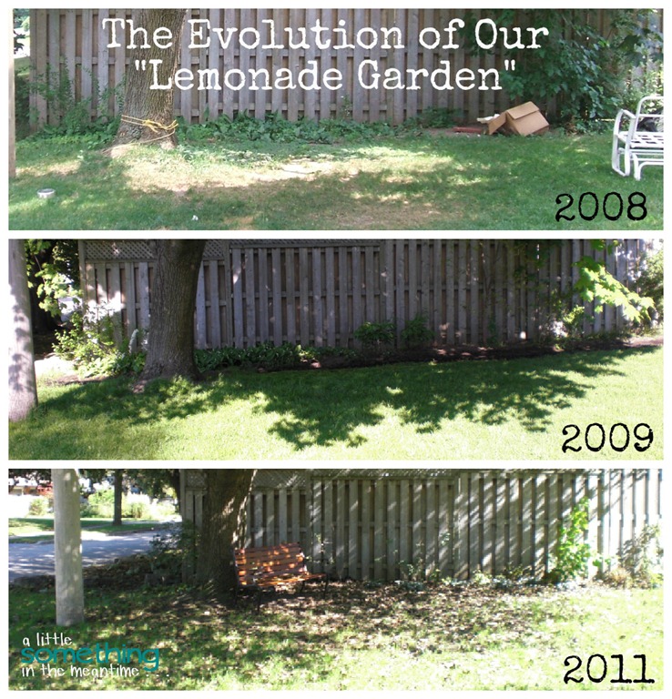 [Lemonade-Garden-Evolution-Collage-WM%255B1%255D.jpg]