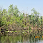 IMG_7629.JPG