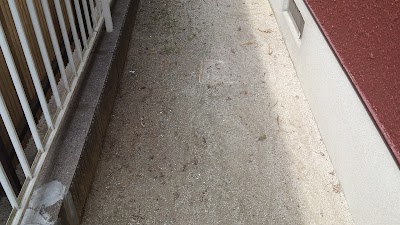 2014-06-01 14.54.45.jpg