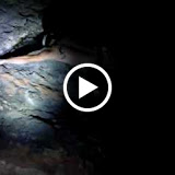 MVI_0228.MOV