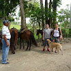 P1060170 (Copy) (Copy).JPG