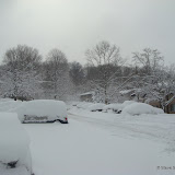 Blizzard TwentyTen - DSC08573.JPG
