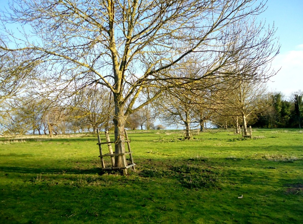 [DSC08947%255B4%255D.jpg]