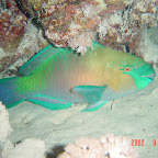 DSC00144.JPG