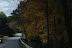 16-Saturday Drive
