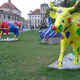 EuropeTripCows EuropeTripCows