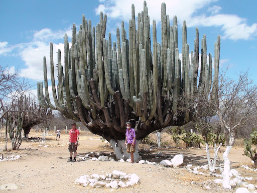 [Image: DSC00241.JPG]