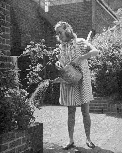 [flowers%255B5%255D.jpg]