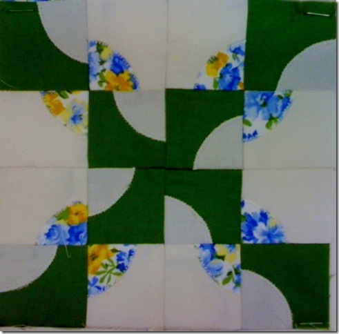 photo 2 (9)