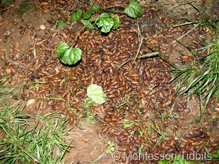 [img_61361%255B2%255D.jpg]
