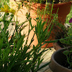 20100724-00015-18.JPG