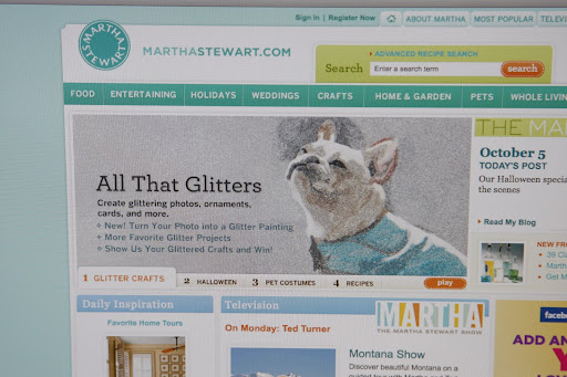 This is a really great project to create glittering photos, ornaments, cards, and more.