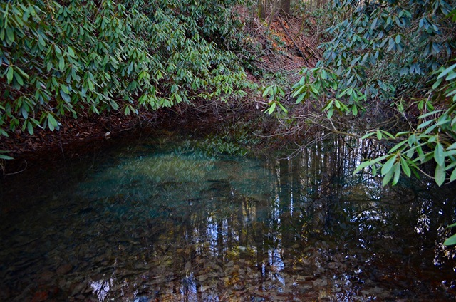 DSC_4094 DSC_4094