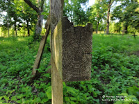 Cmentarz przy ul. Samotnej w Poznaniu