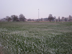 Start to run 55+: Foto