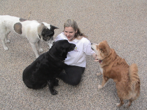 Denise resides near Los Angeles with her husband, Paul, and their canine family: a Black Lab, Mr. Rico, and two Japanese Akitas, Haiku & Bonsai -- all rescues! Denise resides near Los Angeles with her husband, Paul, and their canine family: a Black Lab, Mr. Rico, and two Japanese Akitas, Haiku & Bonsai -- all rescues!