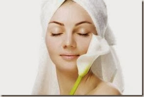 rose_article_rose rose_article_rose