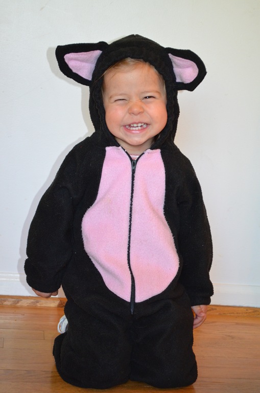 [DSC_0790%255B5%255D.jpg]