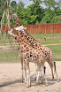 DSC_0174-1.JPG