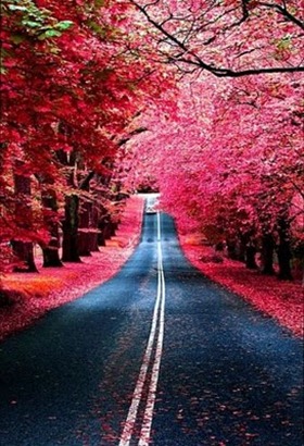 ROADS_AUTUMN