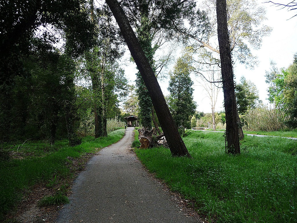 [ciclovia%2520mira.1%255B6%255D.jpg]