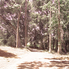 Digital StillCamera