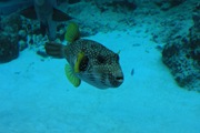 IMG_6564 IMG_6564