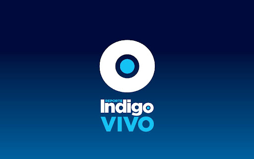 免費下載新聞APP|Indigo Vivo app開箱文|APP開箱王