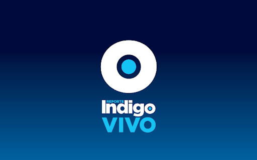 Indigo Vivo