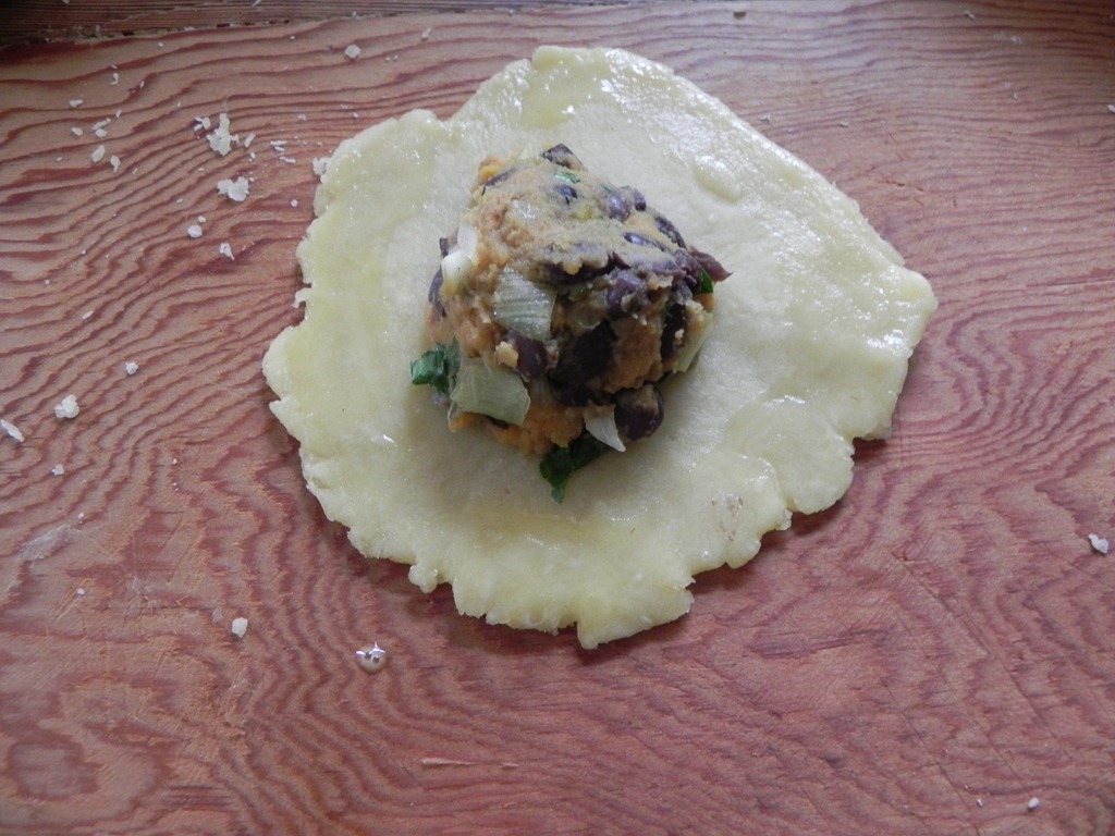 [DSCN9757%255B4%255D.jpg&description=Sweet Potato and Black Bean Empanadas')]
