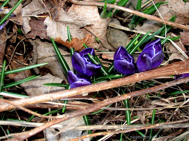 [2012Spring0076.jpg]