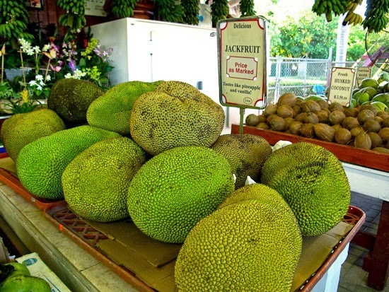 Robert is Here Fruit Stand Jack Fruit