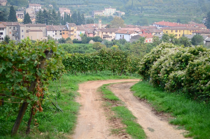 Italian Villa-41