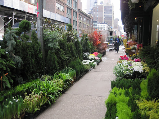 Before you even enter the store there is a large selection to pick from.