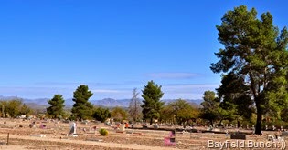 DSC_0035 DSC_0035