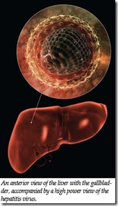 HepatitisC HepatitisC