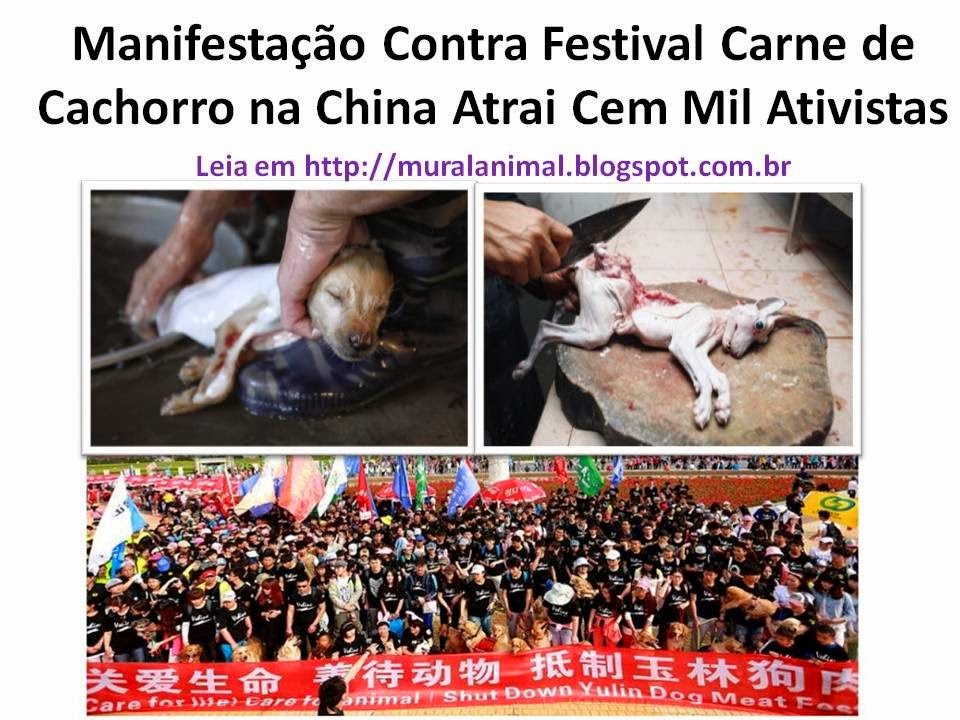 [Manifesta%25C3%25A7%25C3%25A3o%2520Contra%2520Festival%2520Carne%2520de%2520Cachorro%255B3%255D.jpg]